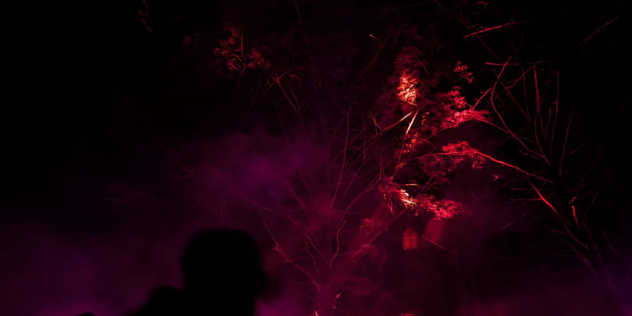 My favorite albums and tracks released in 2023