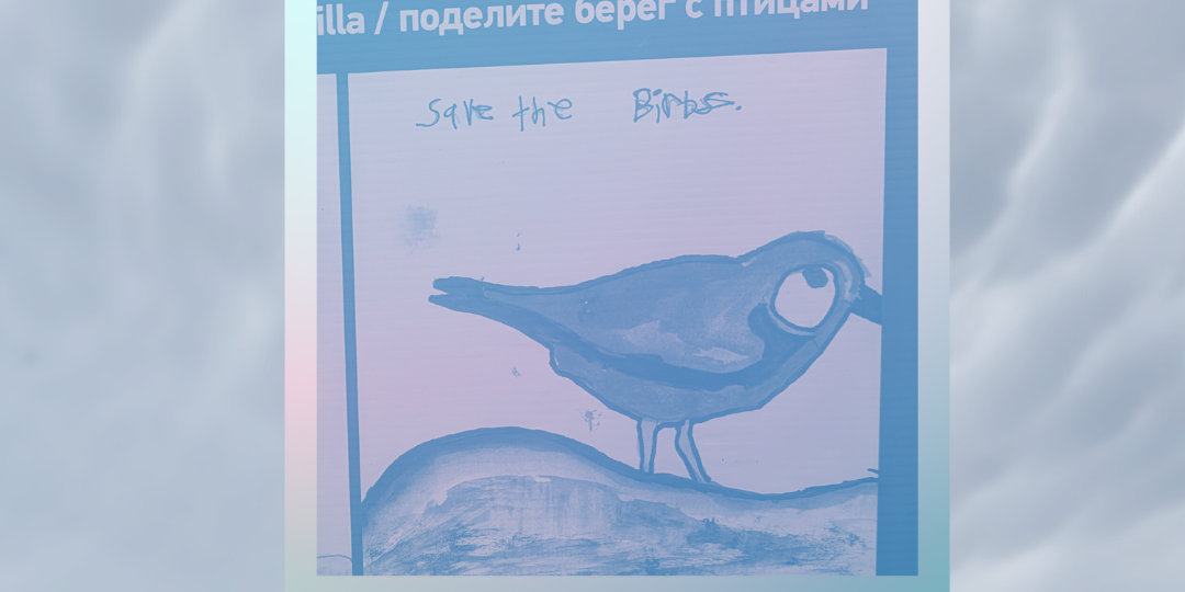 Two new tracks; comparing Nina and Catalog