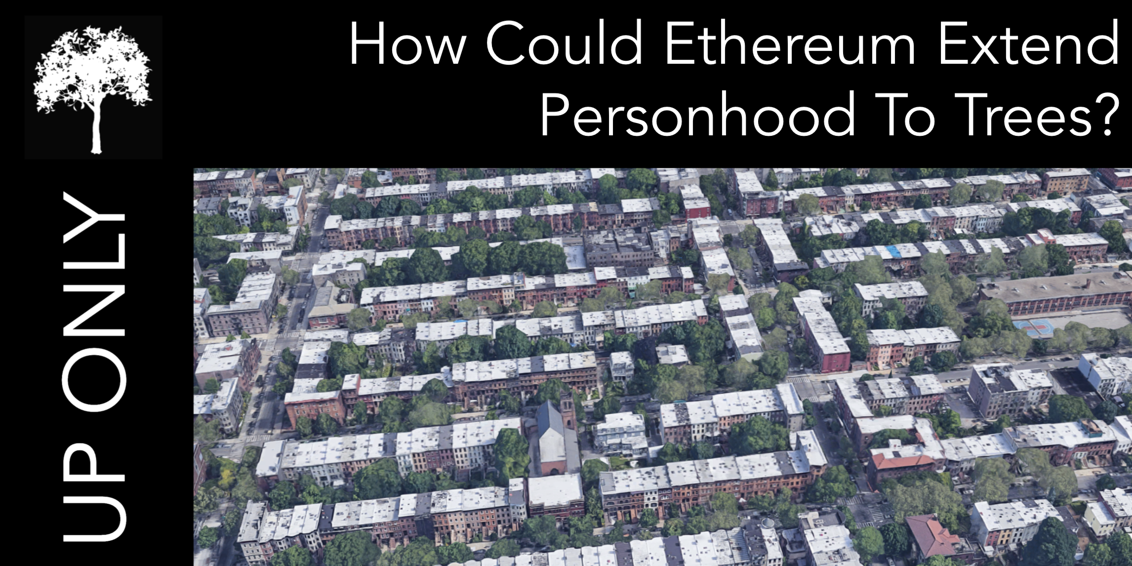 How Could Ethereum Extend Personhood To Trees?